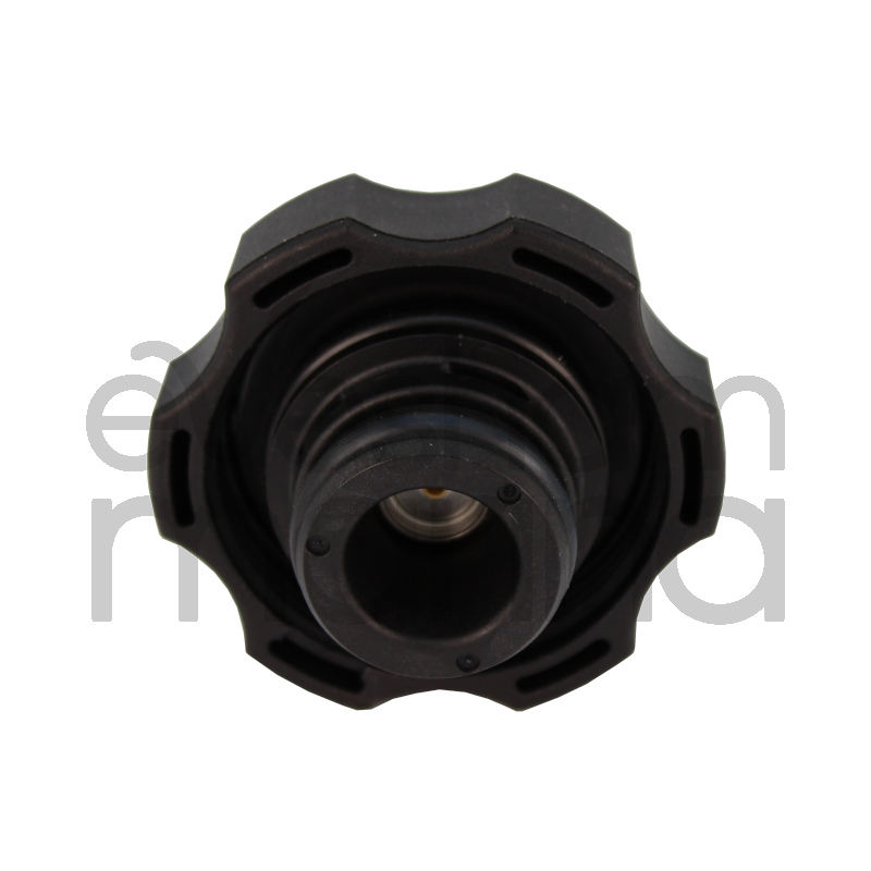 Webasto Header Tank Cap